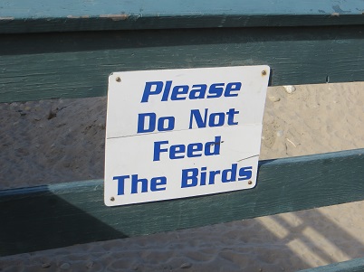 Sign at public park asking visitors "Please do not feed the birds".